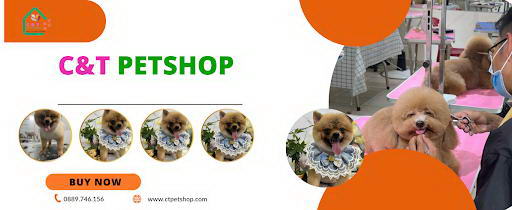 banner petshop
