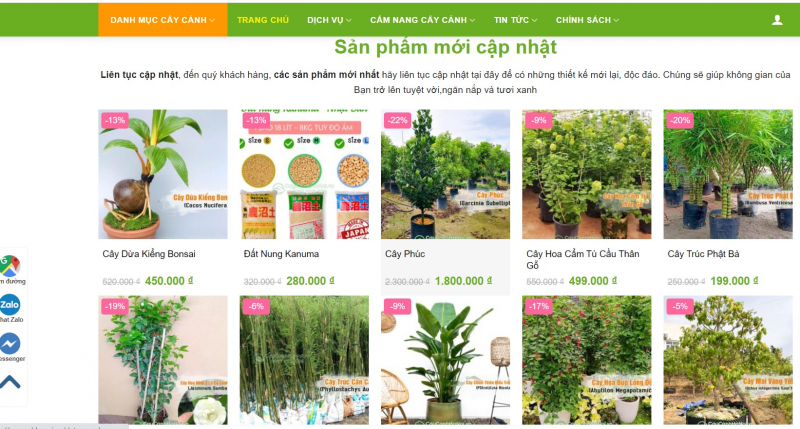 marketing thiet ke web cay canh