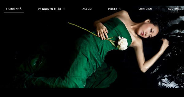 thiet ke web ca si 1