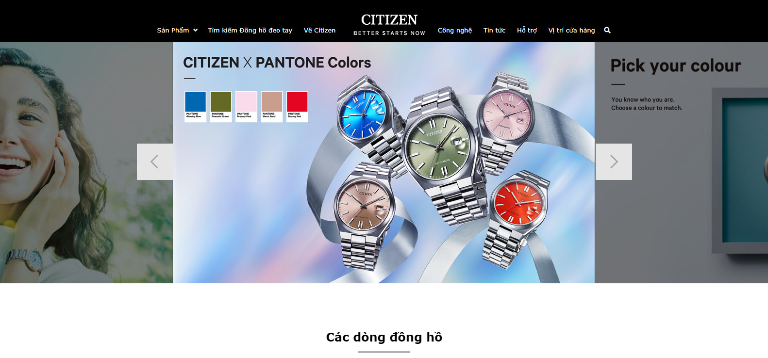 thiet ke web dong ho 2