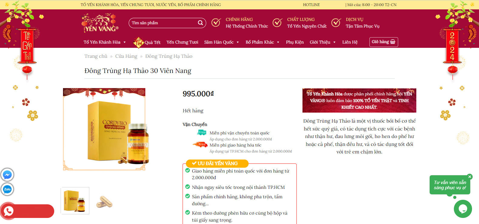 thiet ke web dong trung ha thao 1