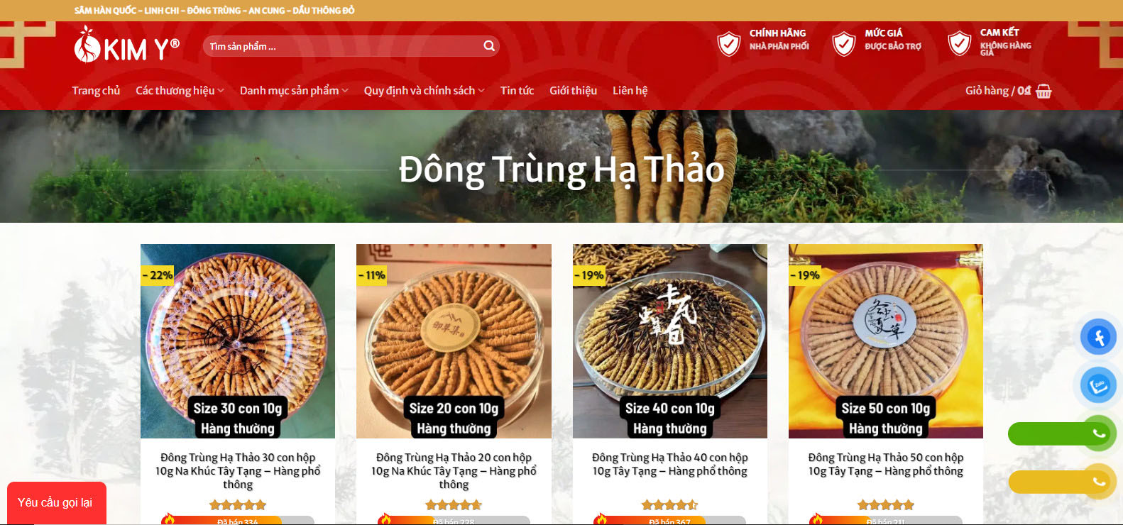 thiet ke web dong trung ha thao 2