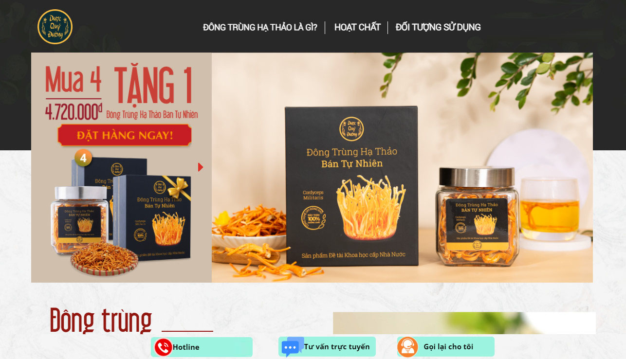 thiet ke web dong trung ha thao 4