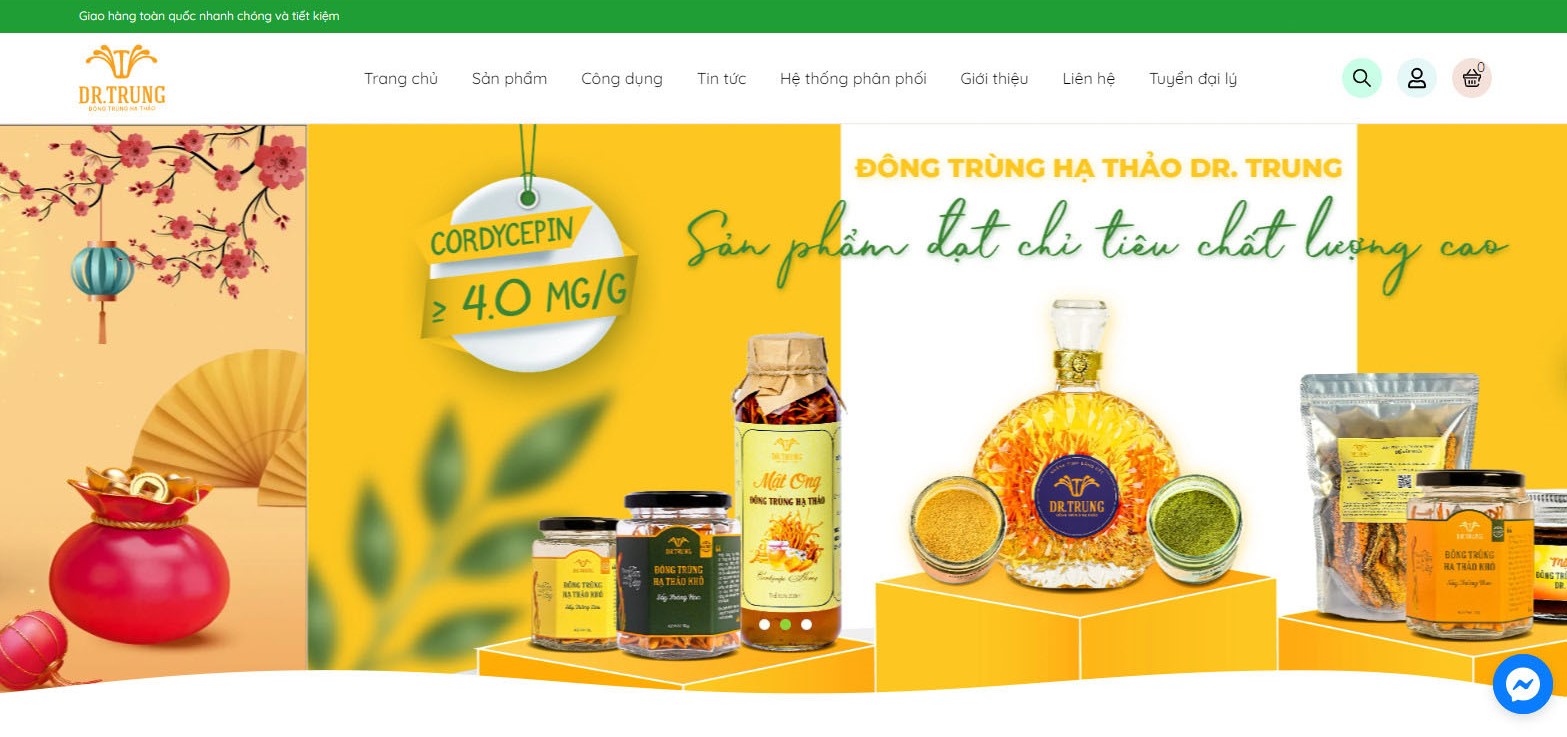 thiet ke web dong trung ha thao 5