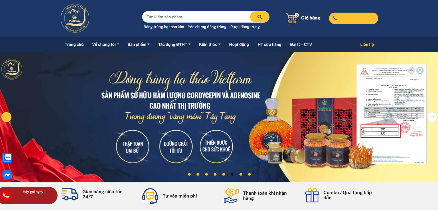 thiet ke web dong trung ha thao 6