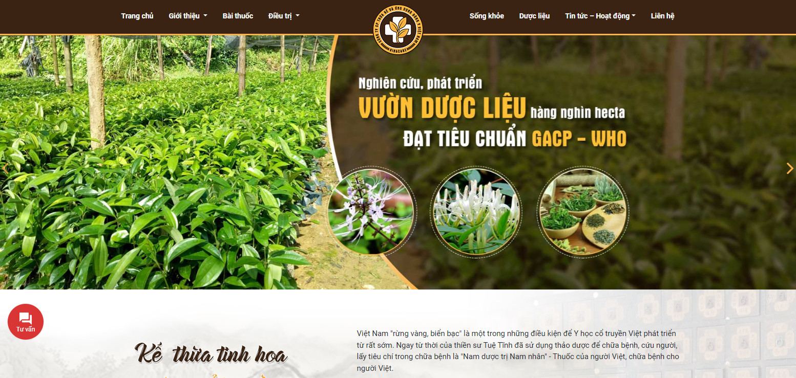 thiet ke web dong y 2