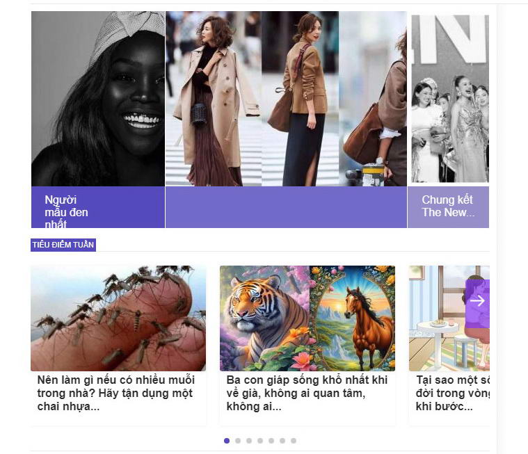 thiet ke web nguoi mau