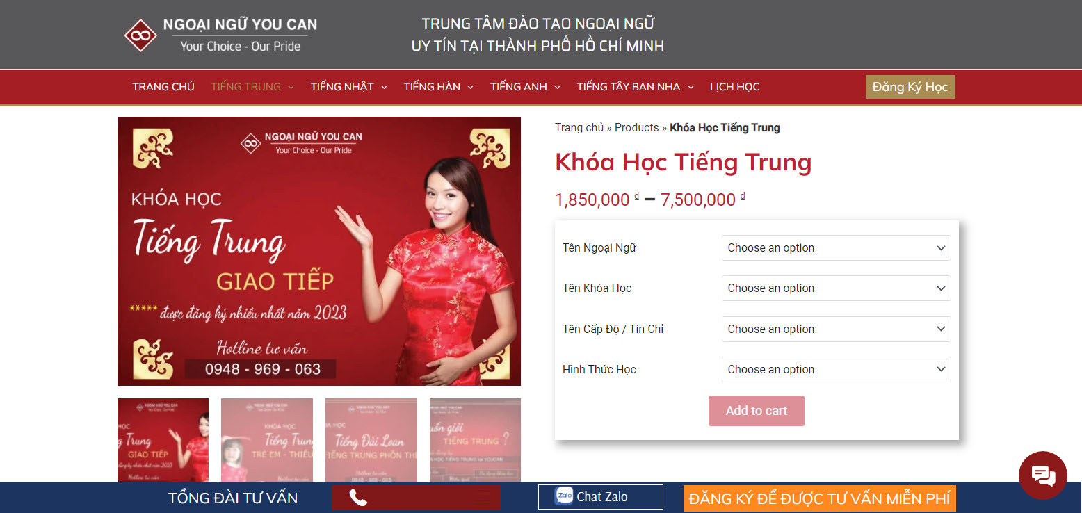 thiet ke web tieng hoa 6