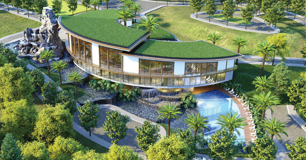 dich vu seo web bds 1