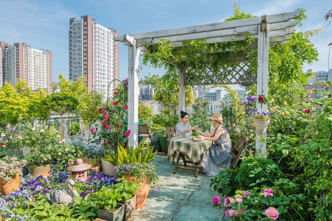 dich vu seo web cay canh 2