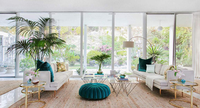 dich vu seo web cay canh