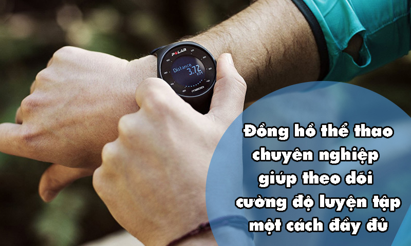 dich vu seo web dong ho 3