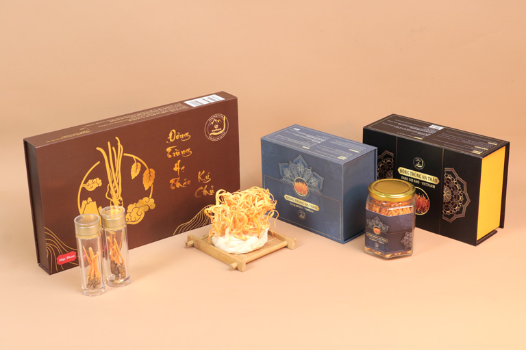 dich vu seo web dong trung ha thao 2