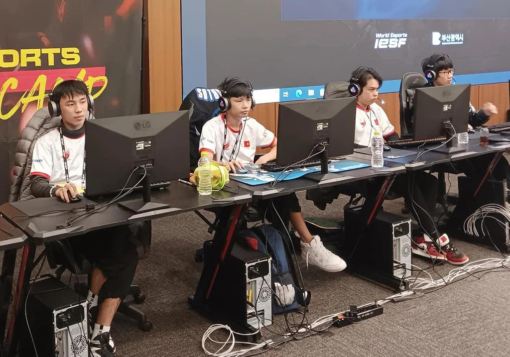 dich vu seo web game online 2