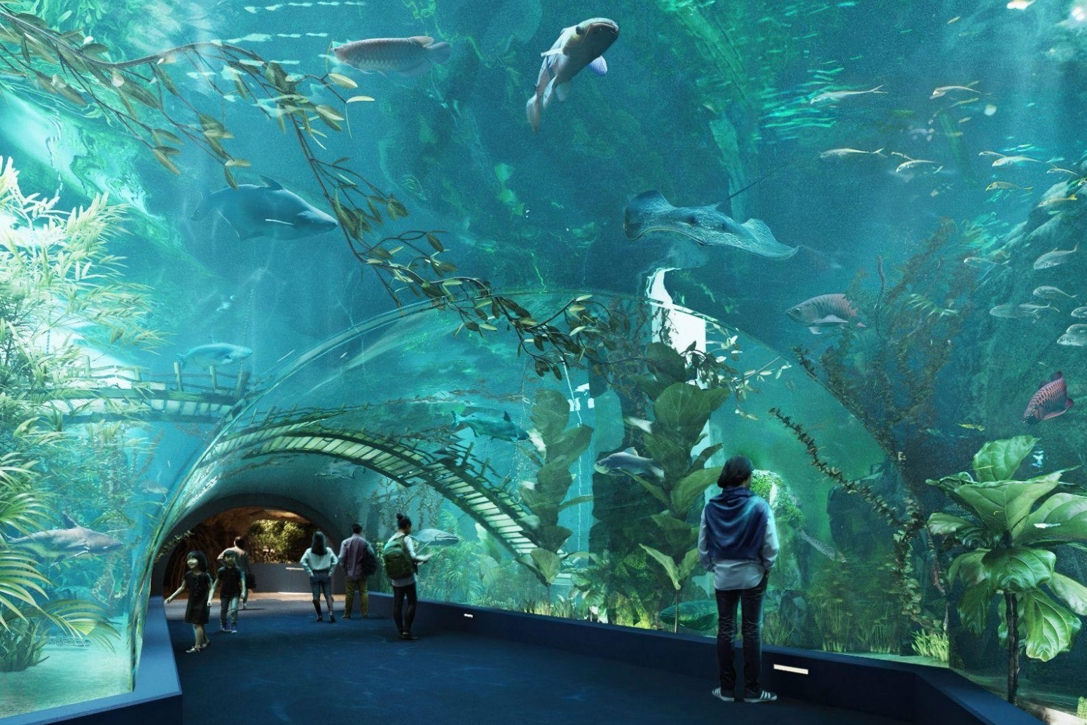 dich vu seo web giai tri 4