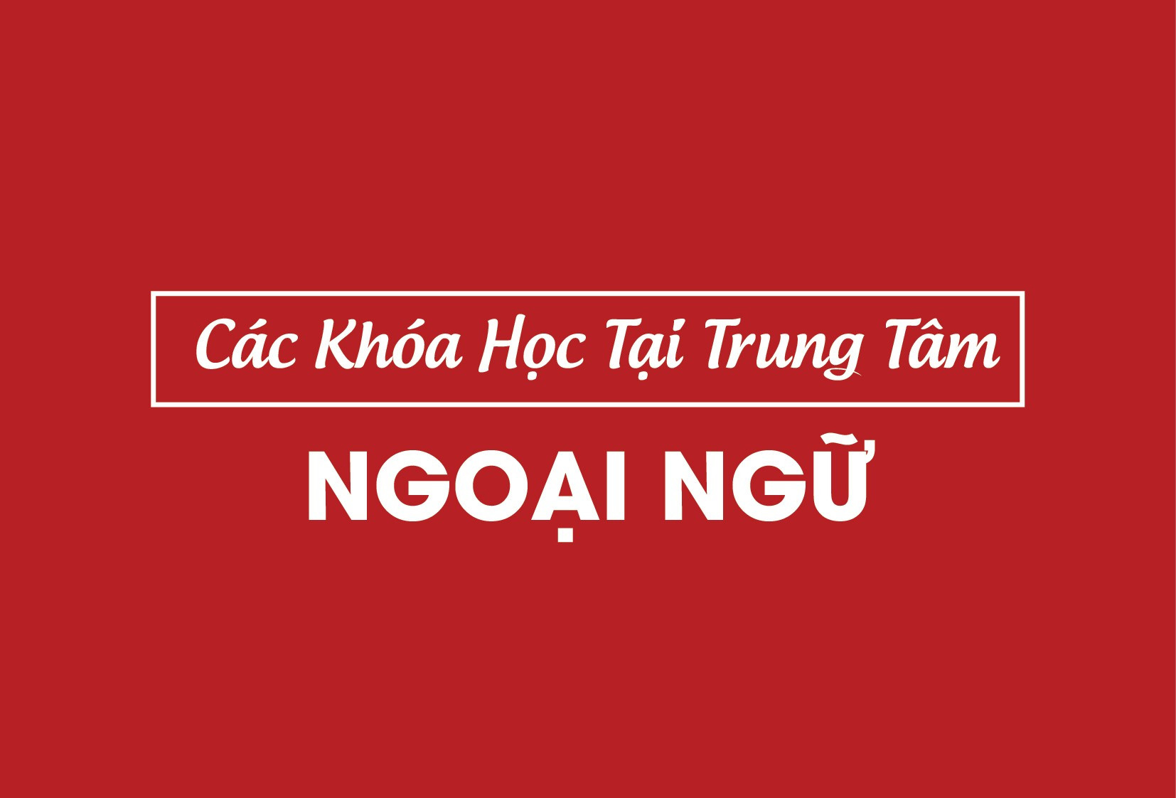 dich vu seo web khoa hoc 2