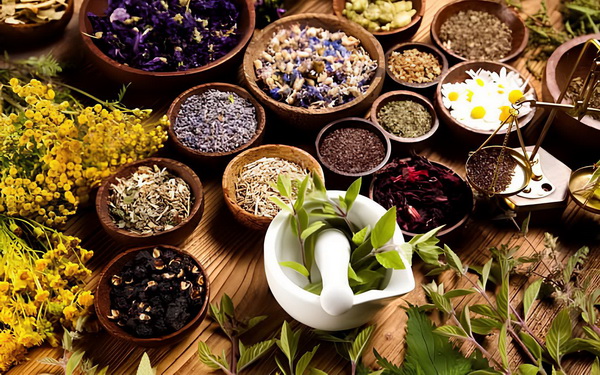 dich vu seo web thuoc nam