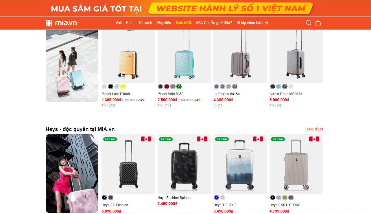 dich vu seo web vali 1