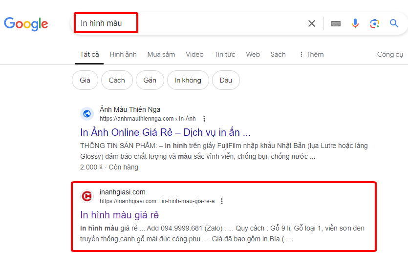 vi du seo web in anh